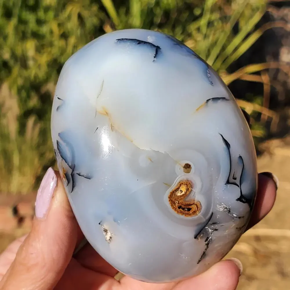 Dendritic Agate Multi-Color Pattern Translucent Freeform Crystal 258 Grams